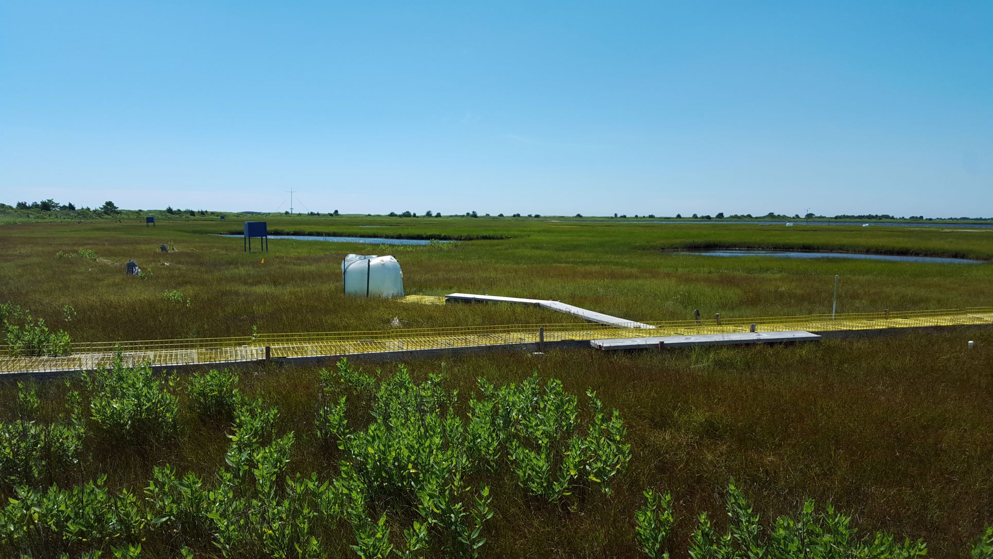 Large marsh area shows yellow walkways.