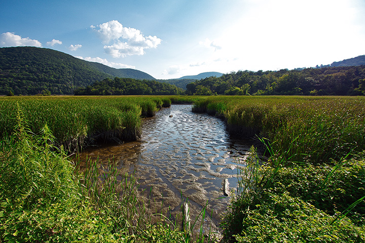 A waterway is flanked by marshes, with hills in the distance.