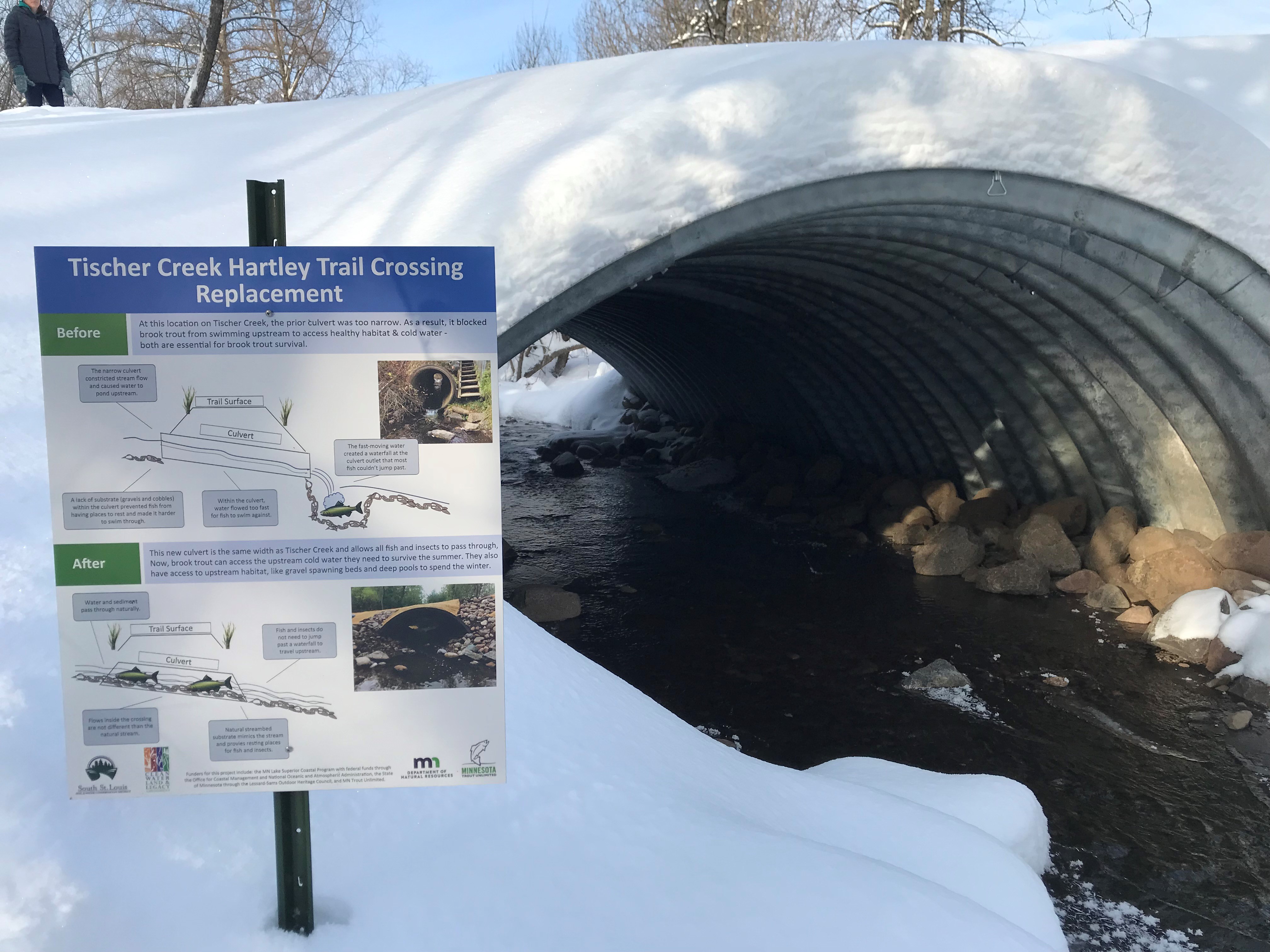 A stream passing through a culvert all covered in snow. A sign sticks out of the snow with text and drawings of the stream.