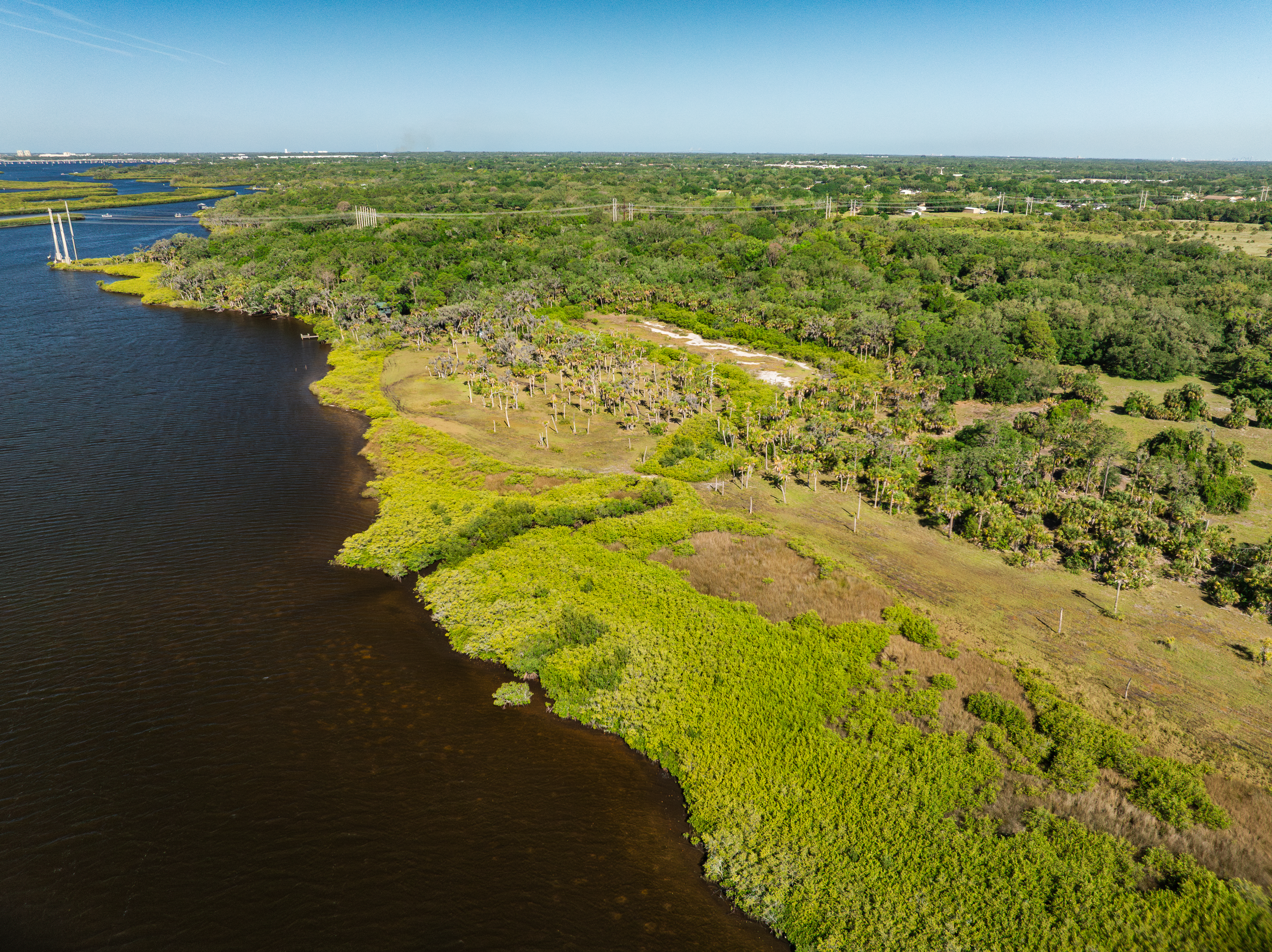 An aerial view of a brown river bordering an area of mangroves, marsh, pasture, and woodlands.