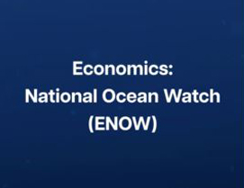 Screenshot of How to Access ENOW Data